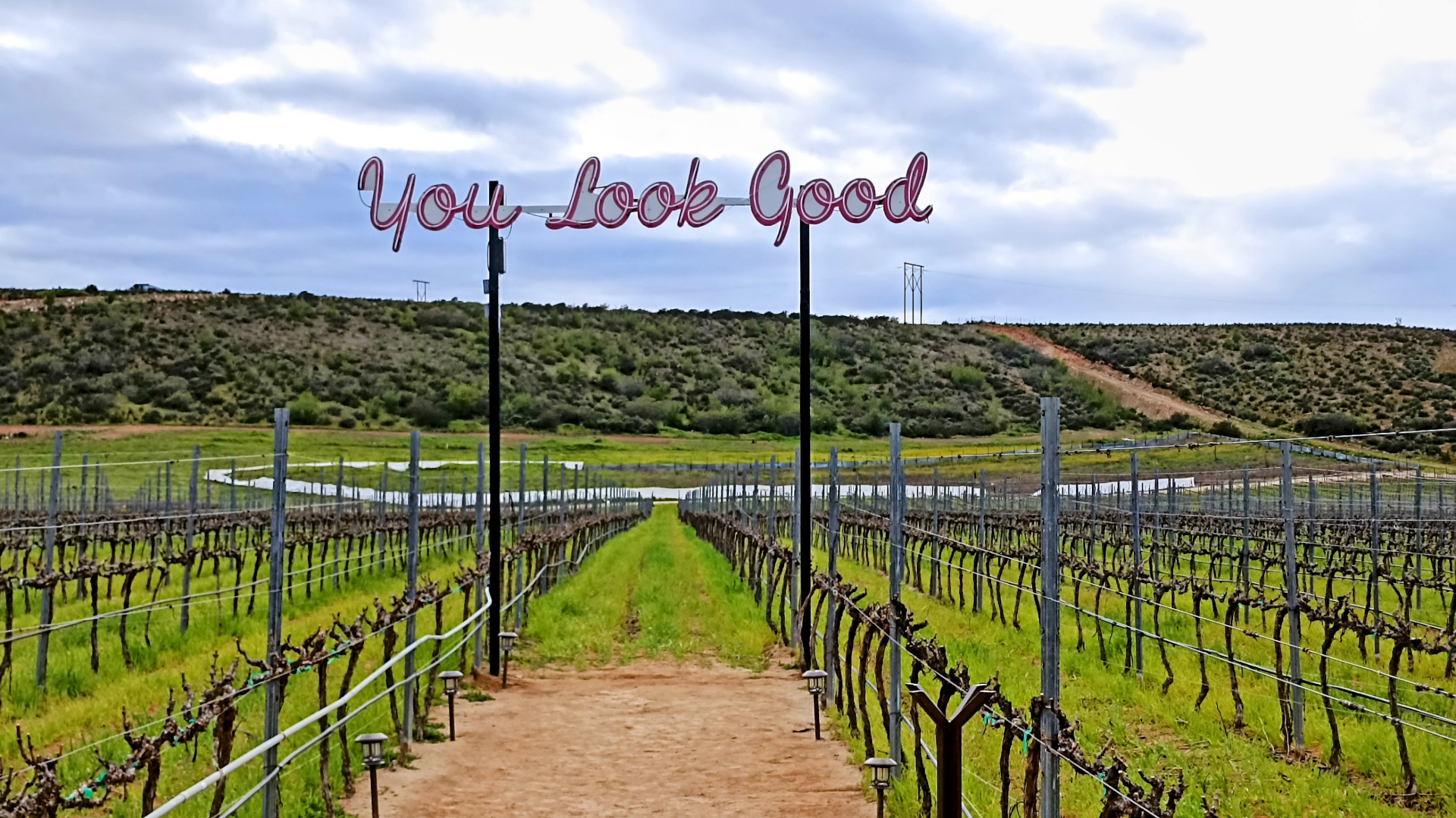 Wine tasting tour in Valle de Guadalupe Ensenada