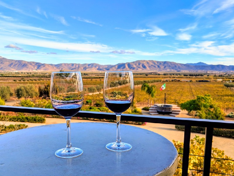 Wine Tasting at Finca La Carrodilla, Valle de Guadalupe