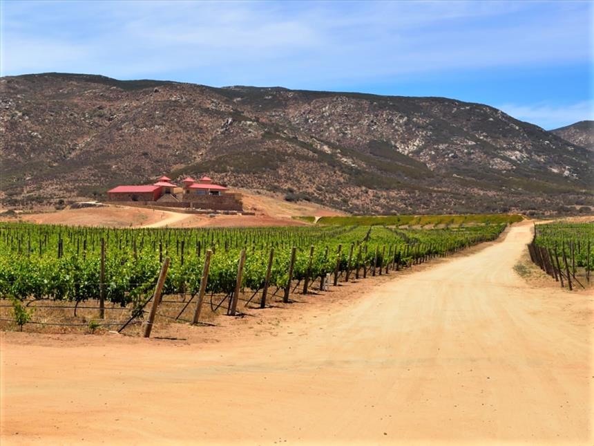 Las Nubes Winery and vineyards at Valle de Guadalupe