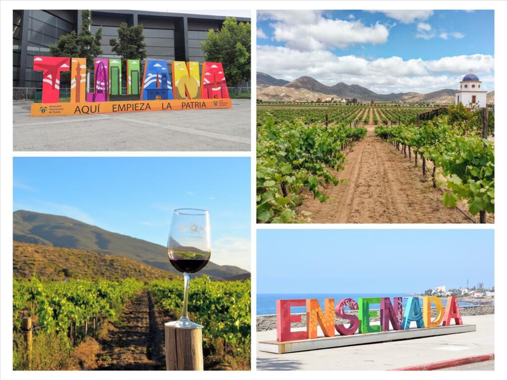 Tijuana to Valle de Guadalupe Transportation (Overnight Trip, 2Days