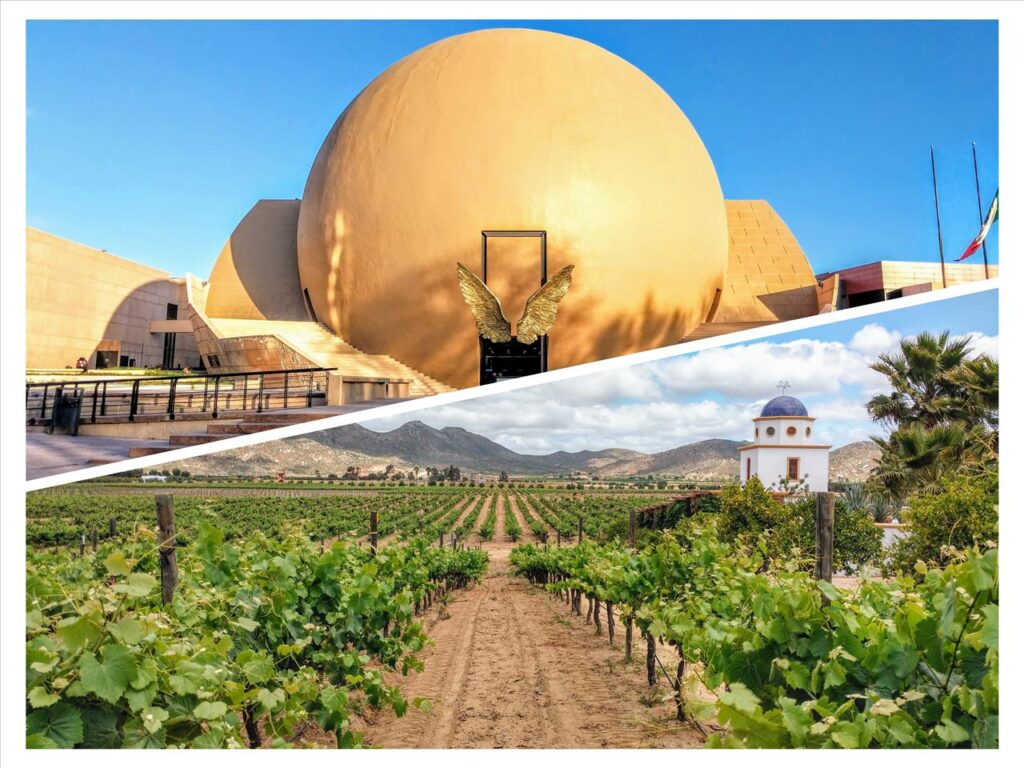 Tijuana to Valle de Guadalupe Transportation (RoundTrip, 2 Dates
