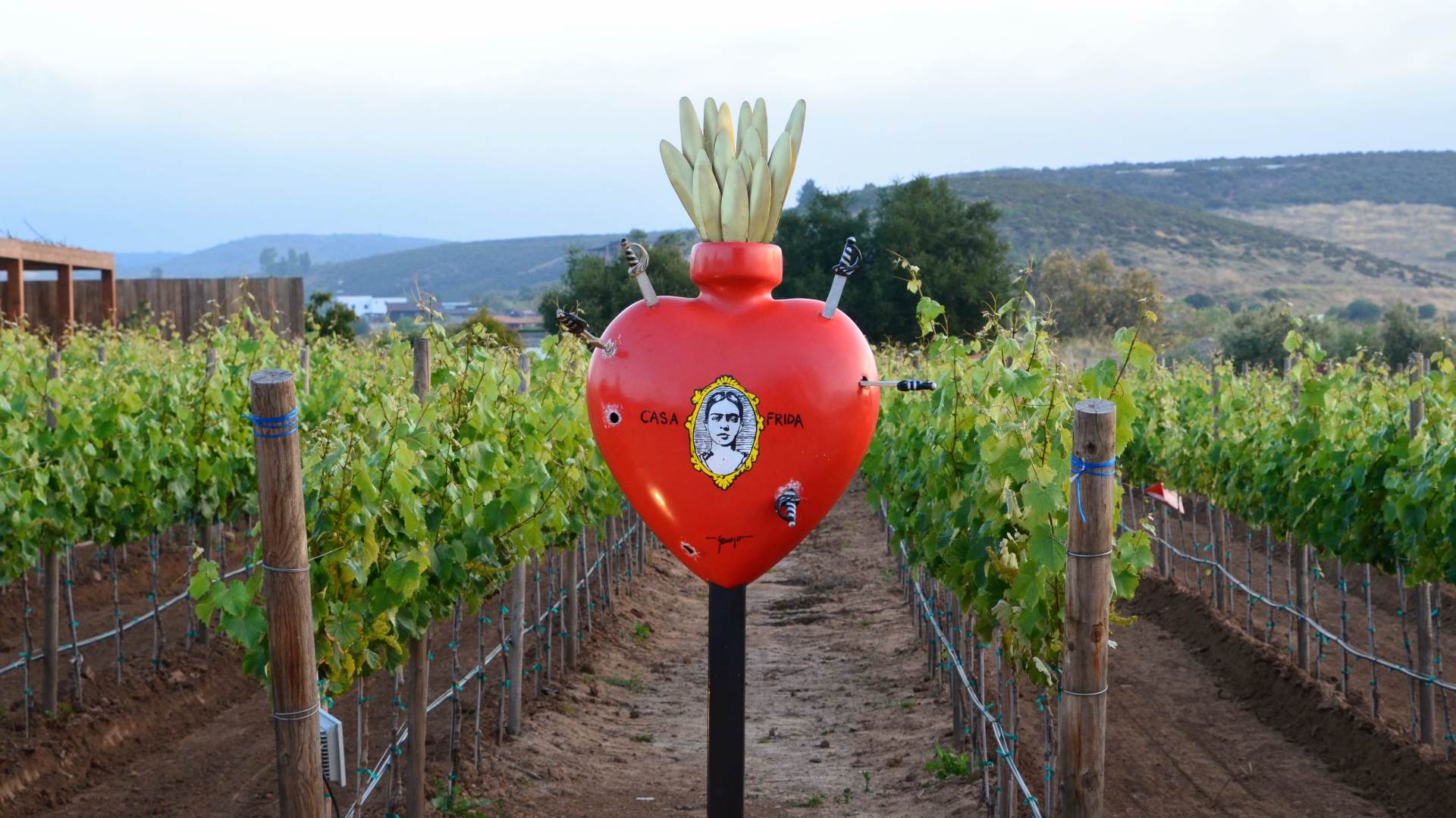 Scenic road Tijuana to Ensenada Transportation